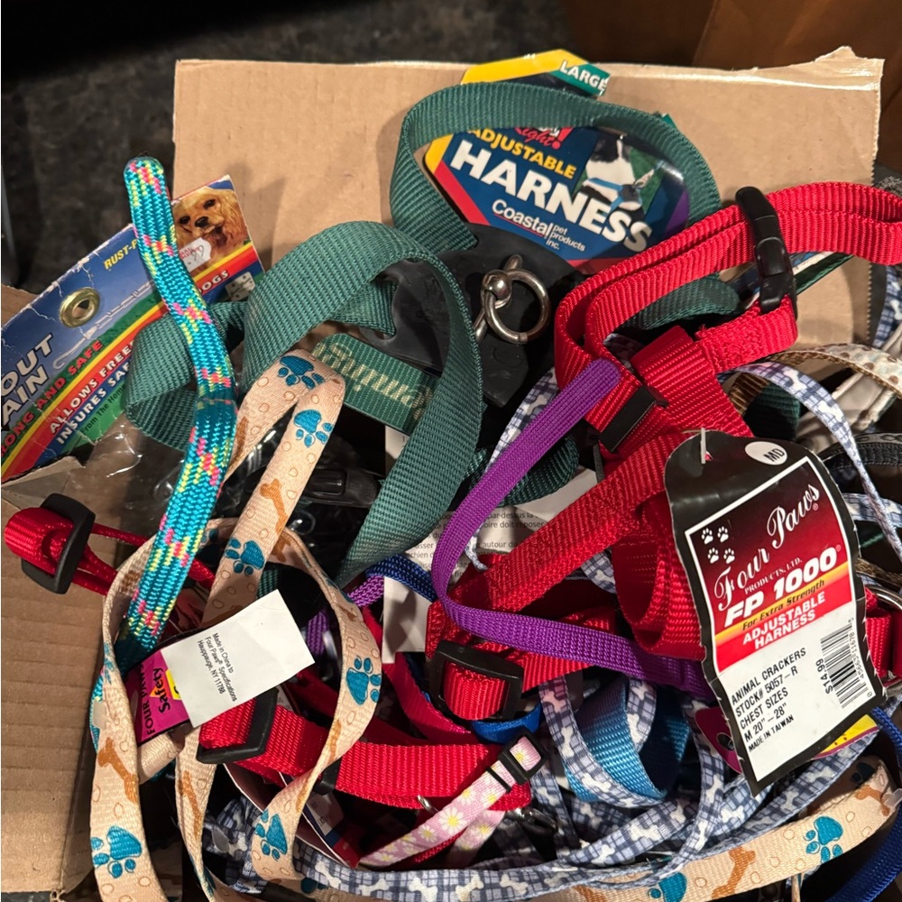 Assorted Dog Harnesses and cat/dog collars